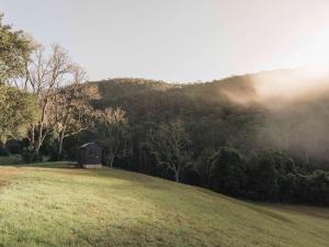 Wild & Secluded Off-Grid Cabin Retreat - Heike