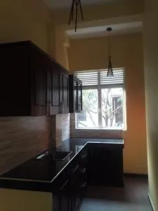 Family house - Borupane