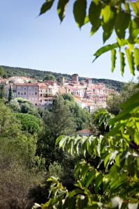 Hotels La Pinede : photos des chambres