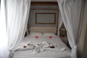 Danzot Tatil Köyü - 阿尔特温