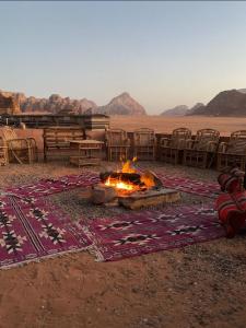 Wildlife Camp