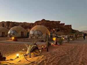 Wildlife Camp