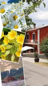 Villa Manca - Viggianello