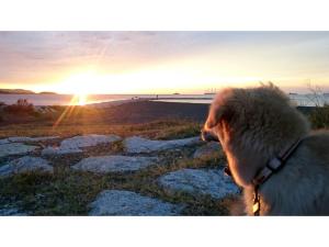 Japari Tateyama - Vacation STAY 84008v