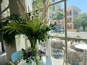 HD Hotel Sunset Town