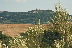 Appartamento con 1 Camera da Letto - Piano Terra