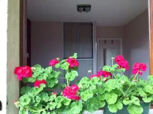 Chambres tout confort du Tilleul - 布尔阿沙尔