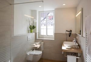 Comfort Double Room room in Hotel Rössle