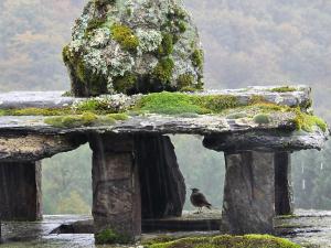 Maisons de vacances Corps de ferme en Aubrac avec jacuzzi : photos des chambres