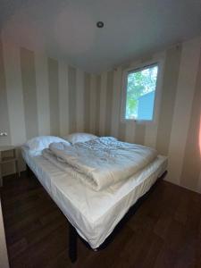 B&B / Chambres d'hotes Chez Philippe et Sylvie - 2 bungalows pour 5 proche Europa-Park : photos des chambres