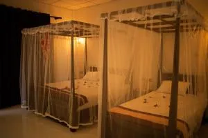 Shine Park - تيساماهاراما