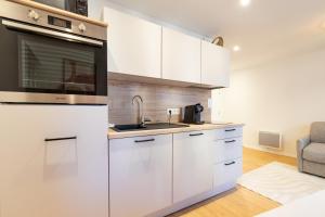 Ile Bailleron - T2 - centre-ville