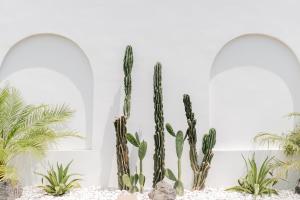 Casa Kaplan - 2BR Villa in Kedungu