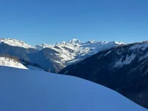 Les racines et les cimes - La Lechere