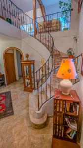 Gîte Le Grand Albizia