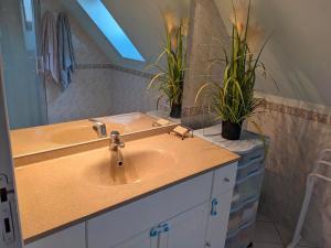 Maisons de vacances Gite Le Grand Albizia : photos des chambres