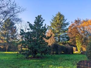 Maisons de vacances Gite Le Grand Albizia : photos des chambres