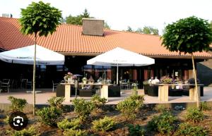 Fijn Boschalet Midden op de Veluwe, 2 fietsen