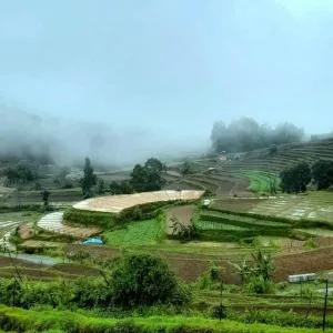 Anthi Veedu Poondi - Kottakamboor