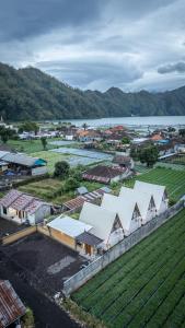 Asasta Kintamani Villa