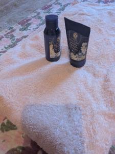 Grand F3 Clermont Ferrand Centre et Garage salins