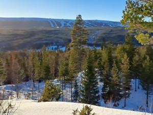 Mysig lägenhet med fjällutsikt i Sälen