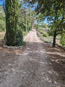 Appartements The Rose Garden - Pernes-les-Fontaines : photos des chambres