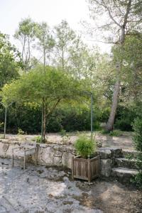 Appartements The Aviary - Pernes-les-Fontaines : photos des chambres