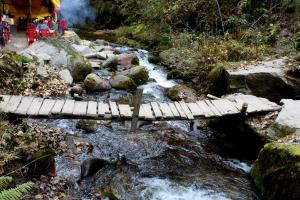Mount calm homestay