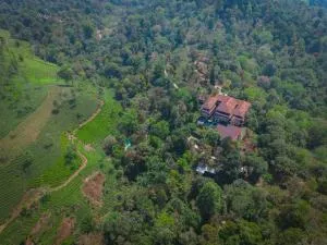 Flora Vythiri Resort - Thirunelli