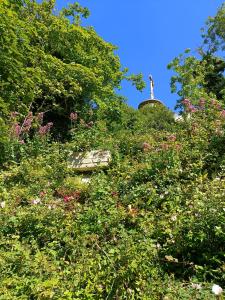 Villas Villa La Petite Normandy Vue Mer : photos des chambres