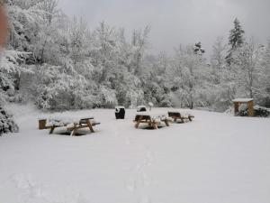 Gîte Col Vert - Ski - Domaine