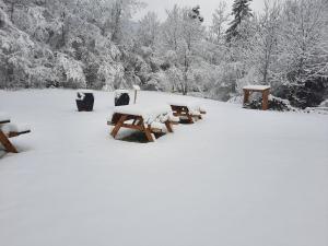 Gîte Moucherolle - Ski - Domaine