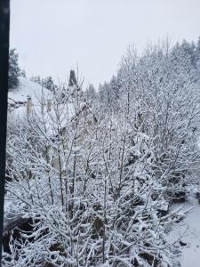 Appartements Gite Moucherolle - Ski - Domaine : photos des chambres