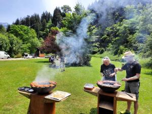 Appartements Gite Col Vert - Ski - Domaine : photos des chambres