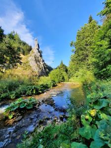 Gîte Col Vert - Ski - Domaine