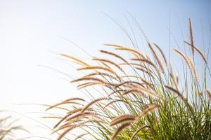 Villa Plaka 16 - The Roof - Drepano, Nafplio