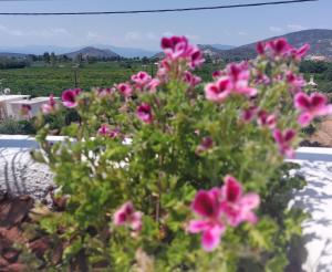 Villa Plaka 16 - The Roof - Drepano, Nafplio