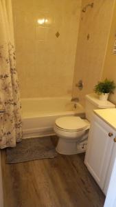 Mega Trade Stunning View - APT 3-4 Combination