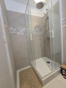 LAlphonse l Near the Port l Shellter Rentals