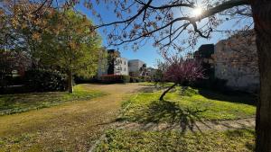 Appartements Le Grand Chelem, Bel appartement secteur Ovalie : Appartement