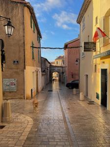 Studio SEVO l Central l Shellter Rentals