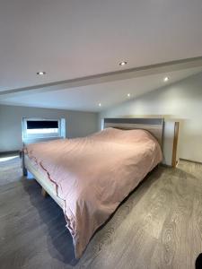 Appartements Duplex cosy a Carnot : Appartement 1 Chambre