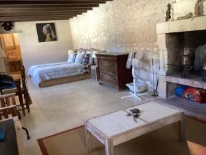 Villas Unique outbuildings of a medieval Loire castle : photos des chambres
