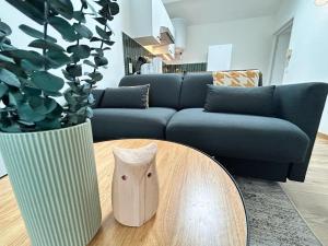 Appartements Belin Cool terrasse et parking proche centre ville : photos des chambres