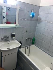 Apartament 1 camera