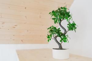 Duplex proche centre ville