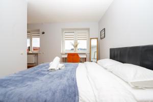 ᴄᴏʜᴏsᴛ I City Centre Apt With River View