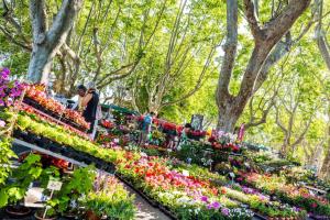 Appartements Casbah14 Uzes : photos des chambres
