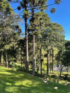 Sítio da Vó Gisela